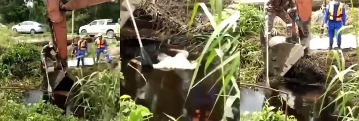 下载 1