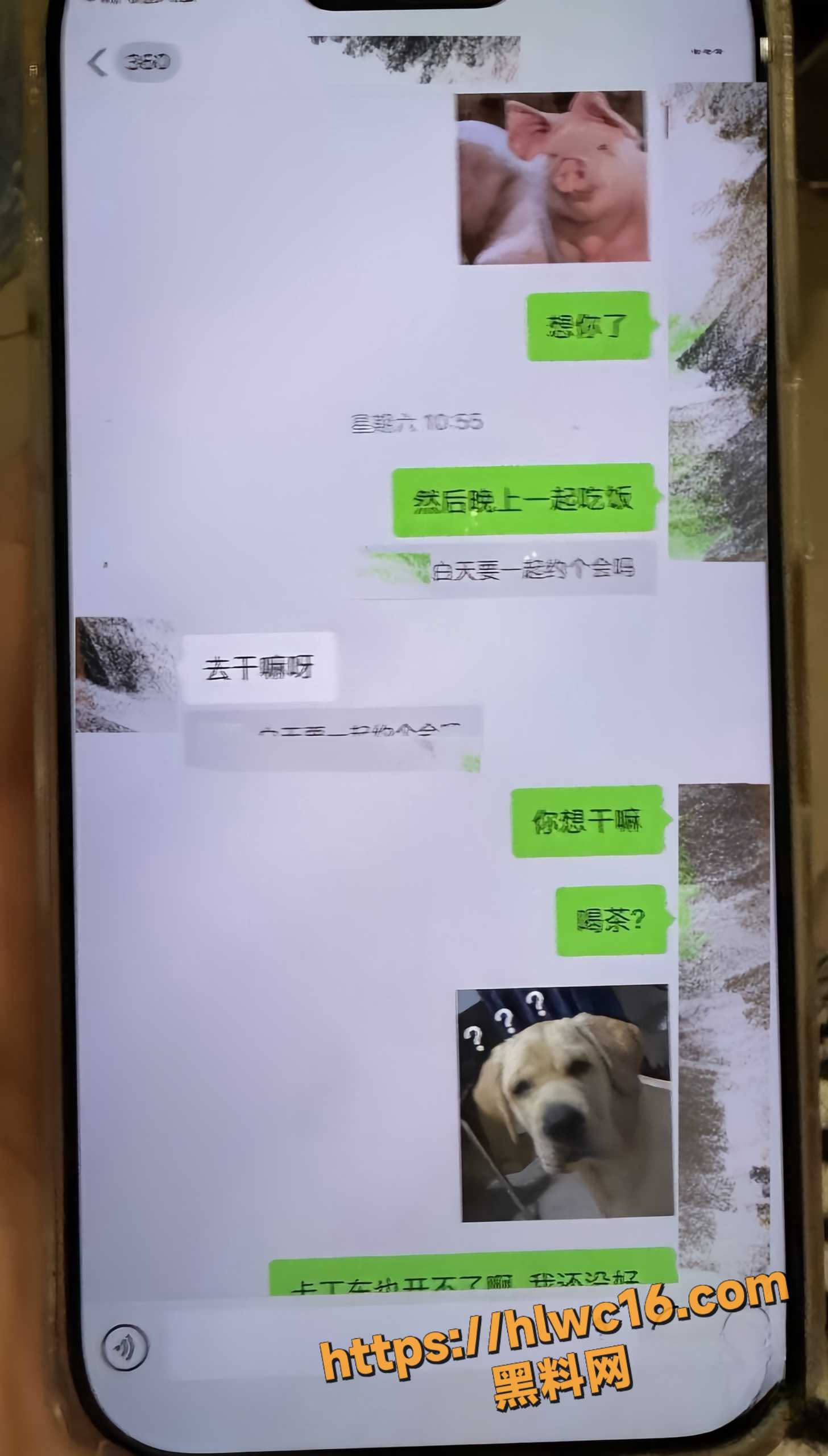 转移财产30