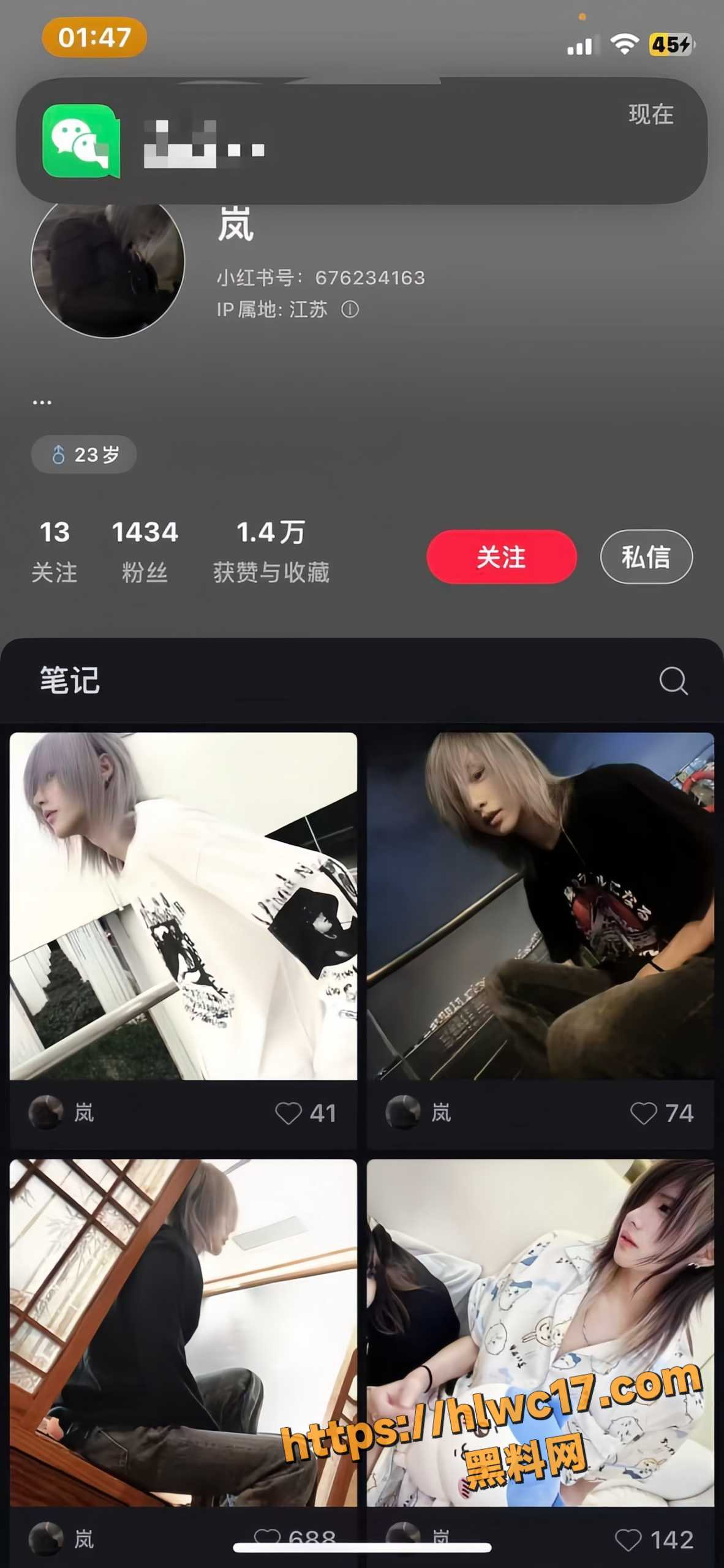 抖音英雄王李海伟1