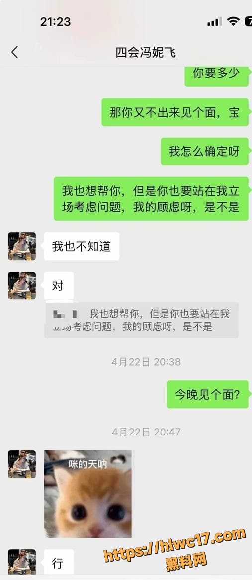 网红冯妮飞福利资源11