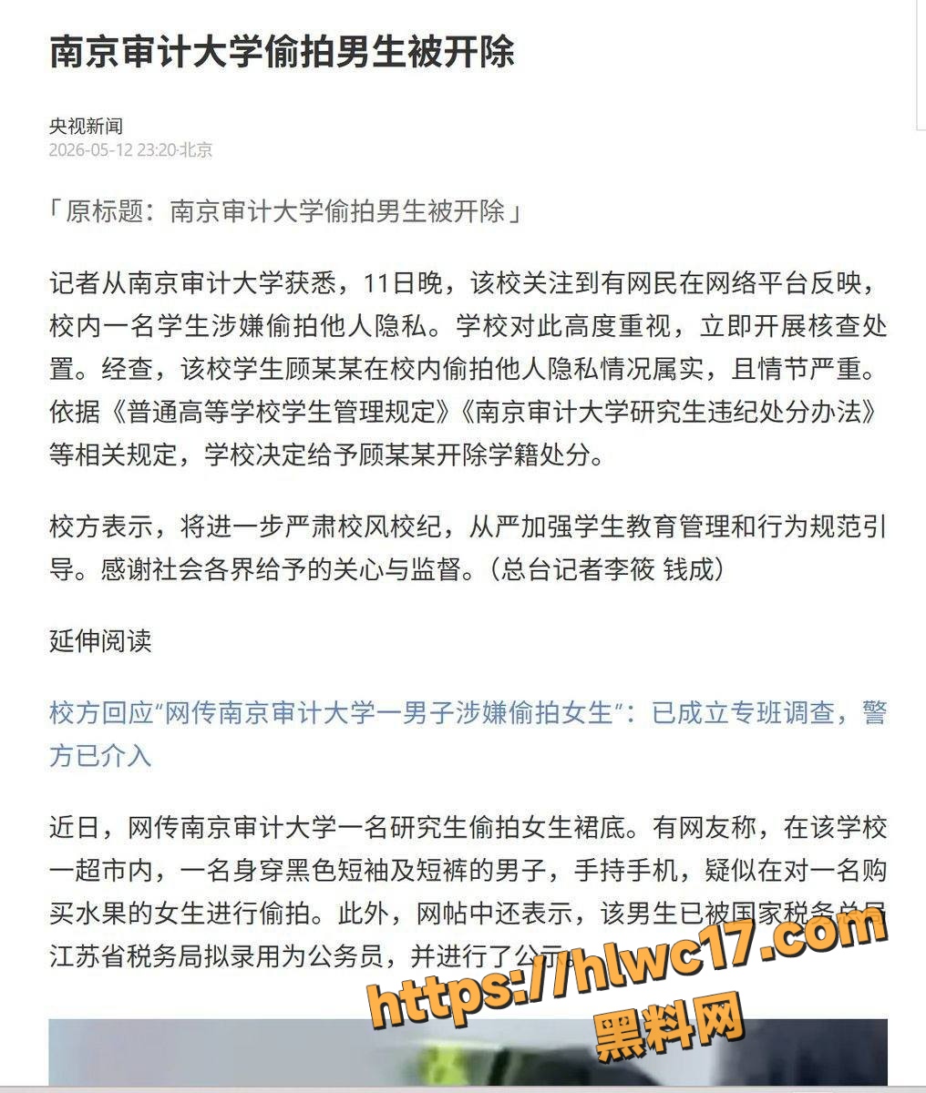 顾振佳 4