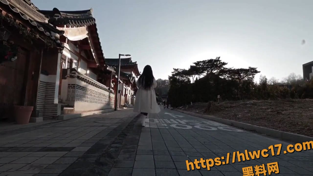 韩国性爱旅游福利视频3