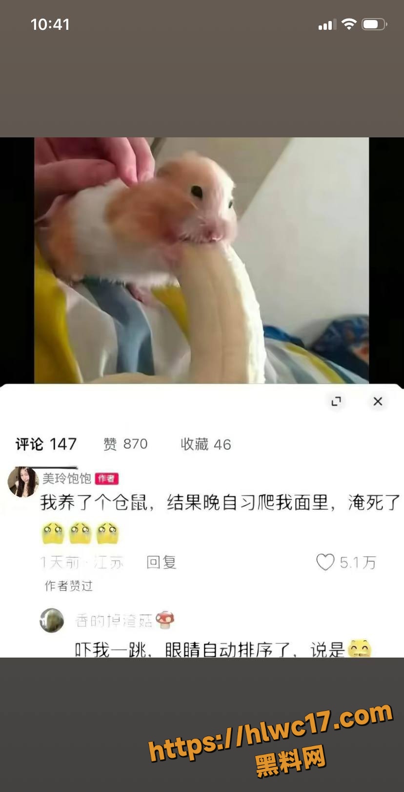 美玲饱饱早年探花资源回归12