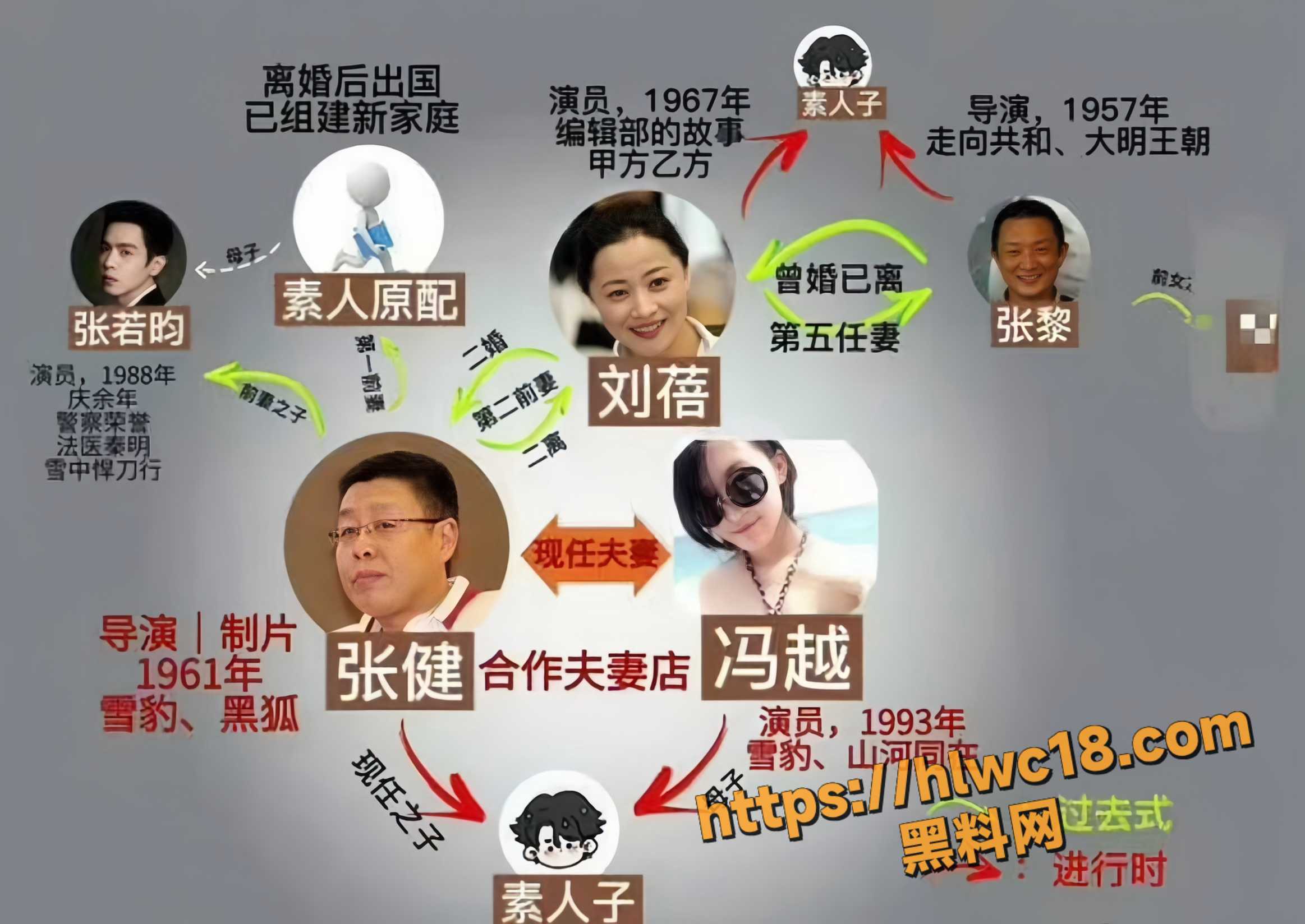 张若昀父亲张健4