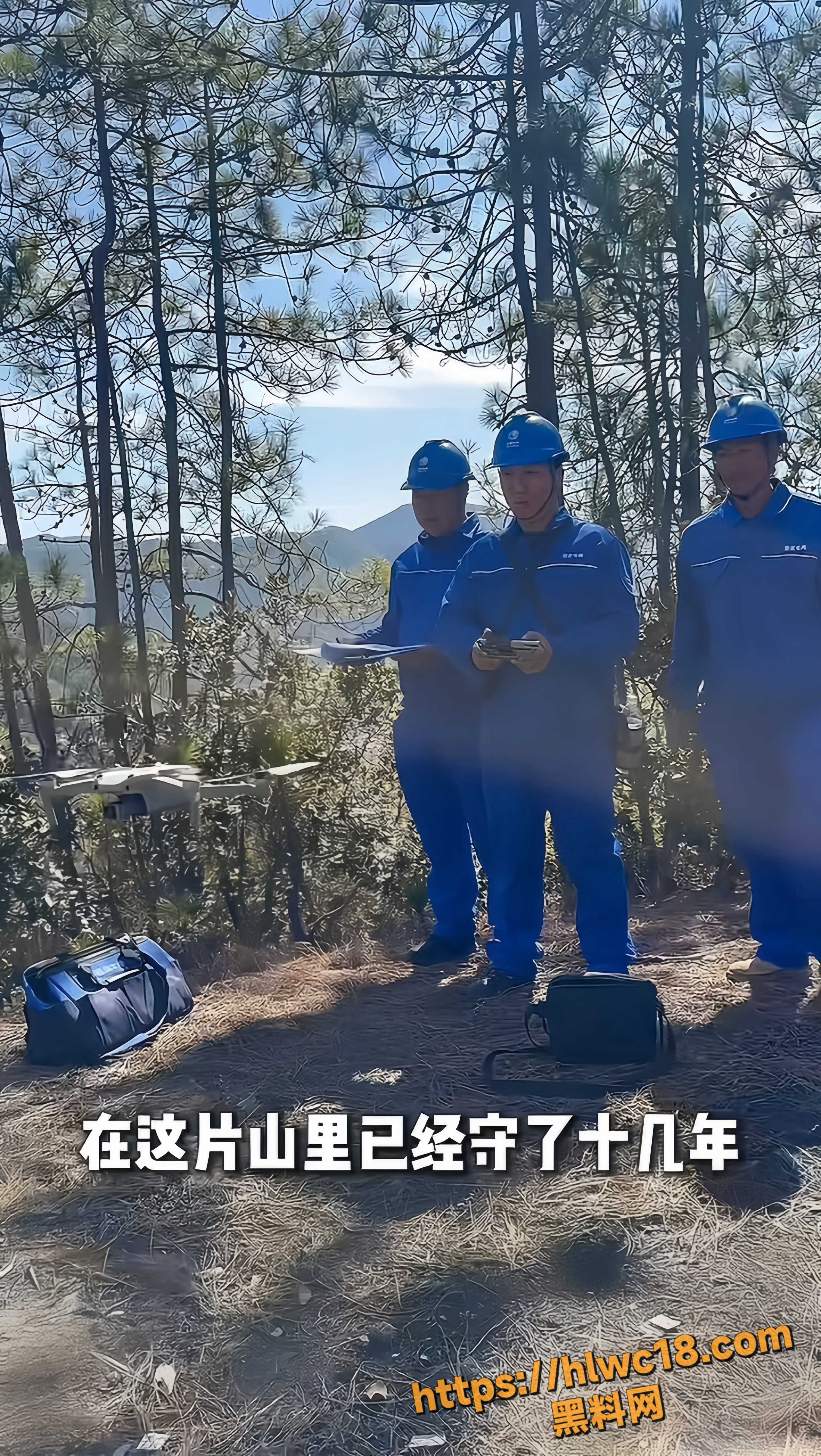 坚守巡线7