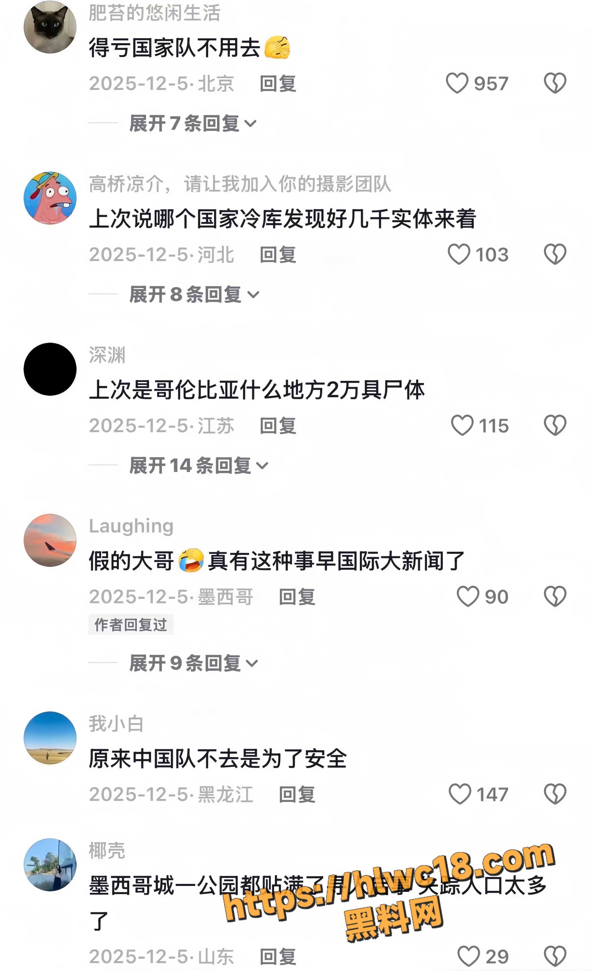 世界杯14