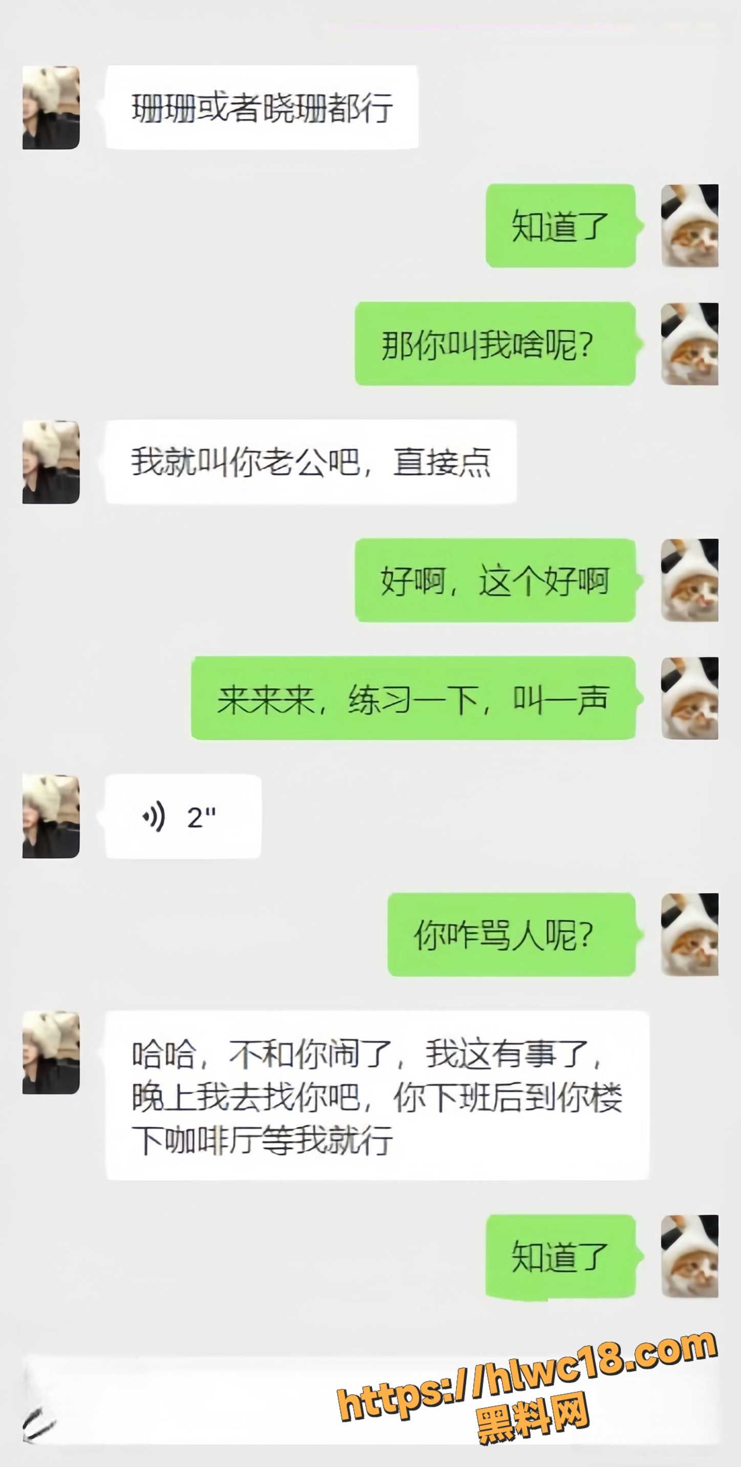 妹妹日记110集22