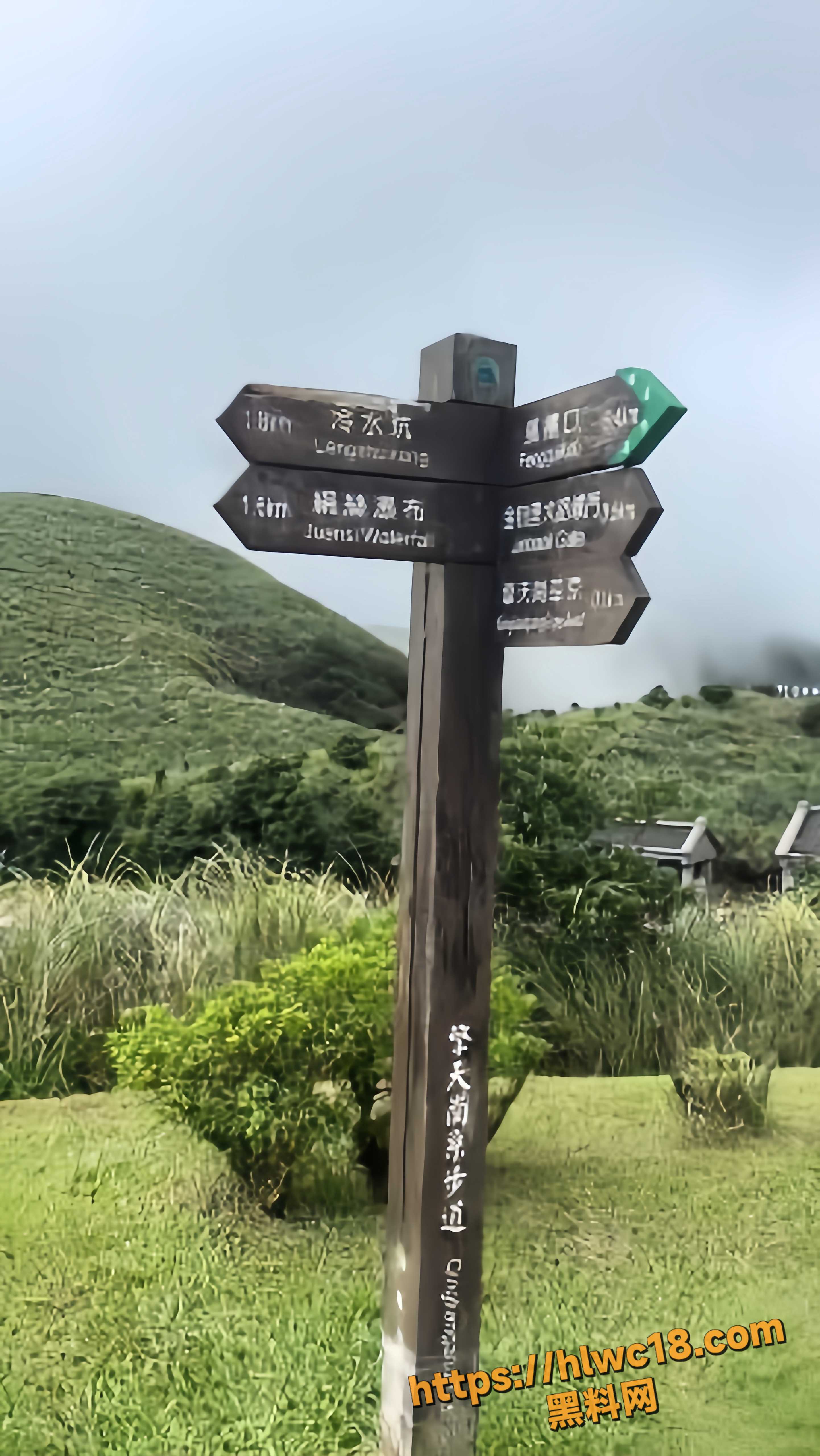阳明山擎天岗情侣野战5