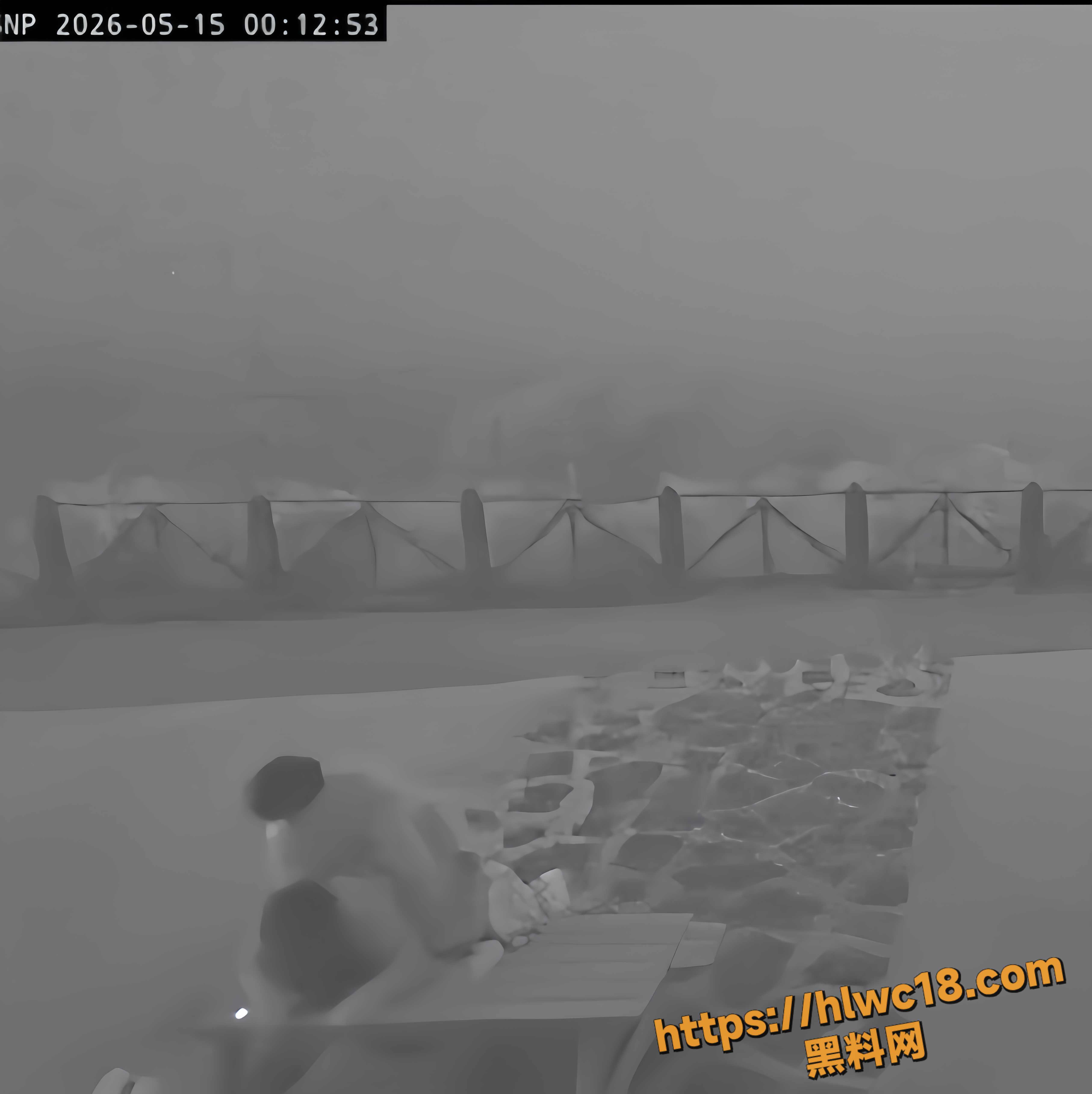 擎天岗13