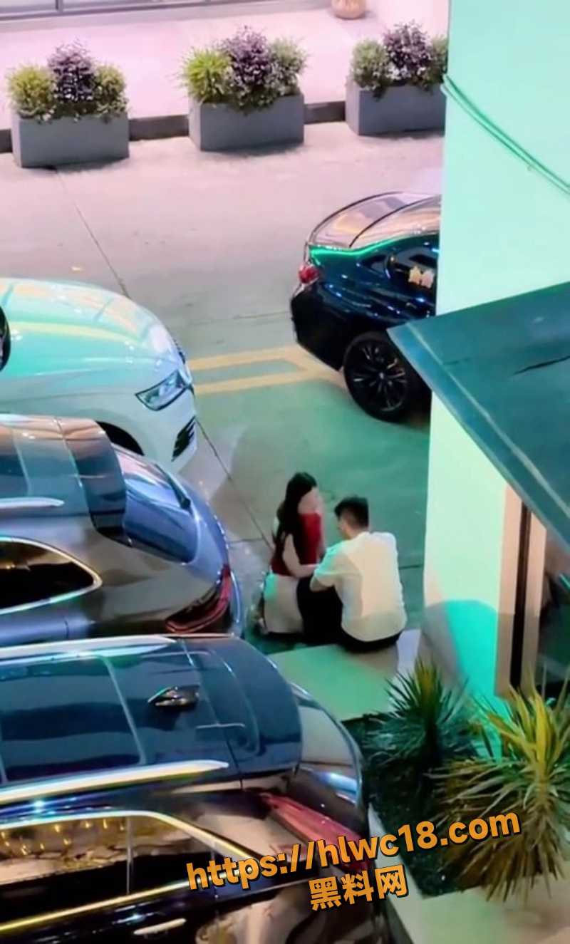 监控出轨抓奸现场3