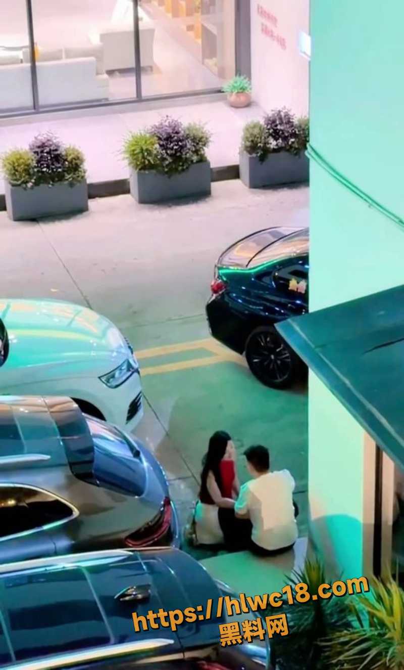 少妇出轨惨状实拍 6