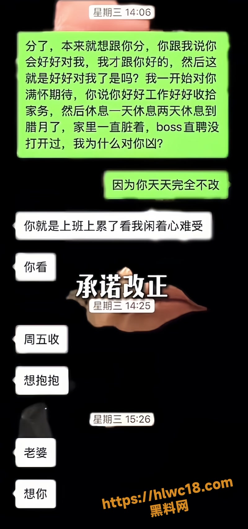 08抖音网红情侣冰冻大狗wm