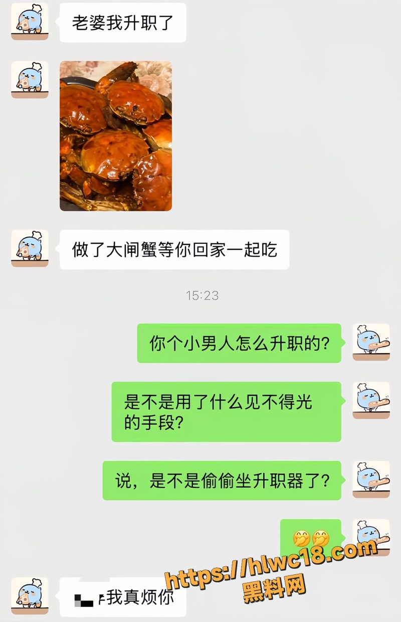 13聊天记录wm