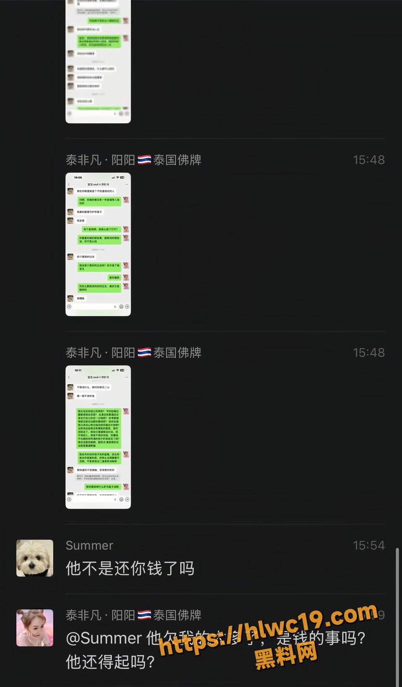 13家暴wm