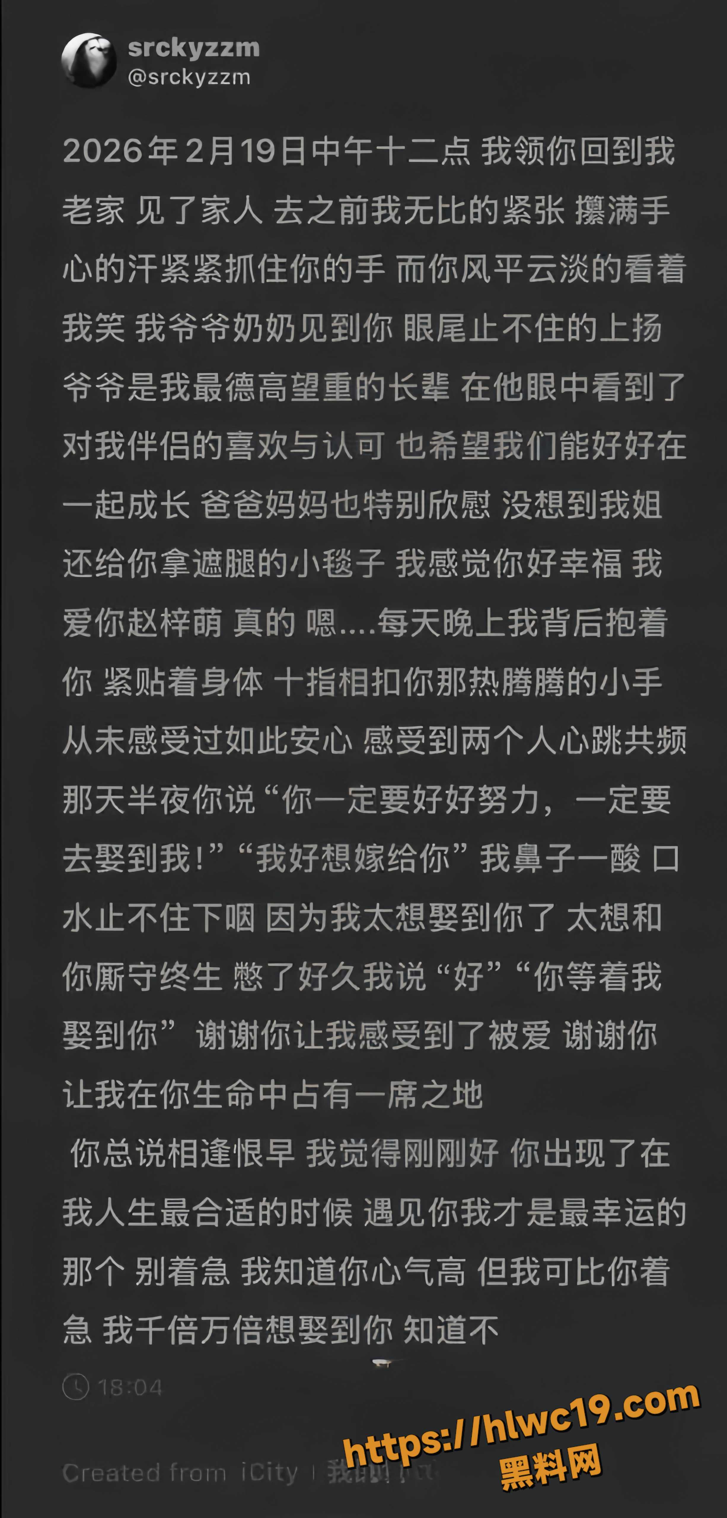 张祺扬出轨聊天记录9