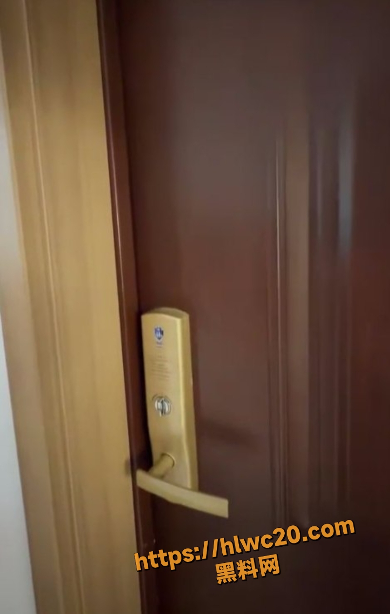 西沙脱毛全程录像2