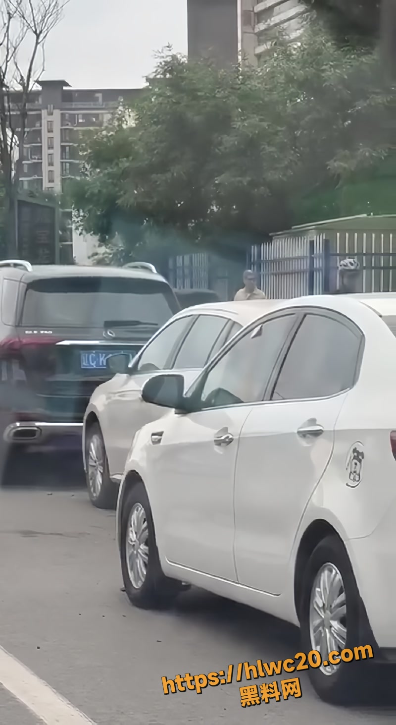 01辽阳万达门口杀人事件wm