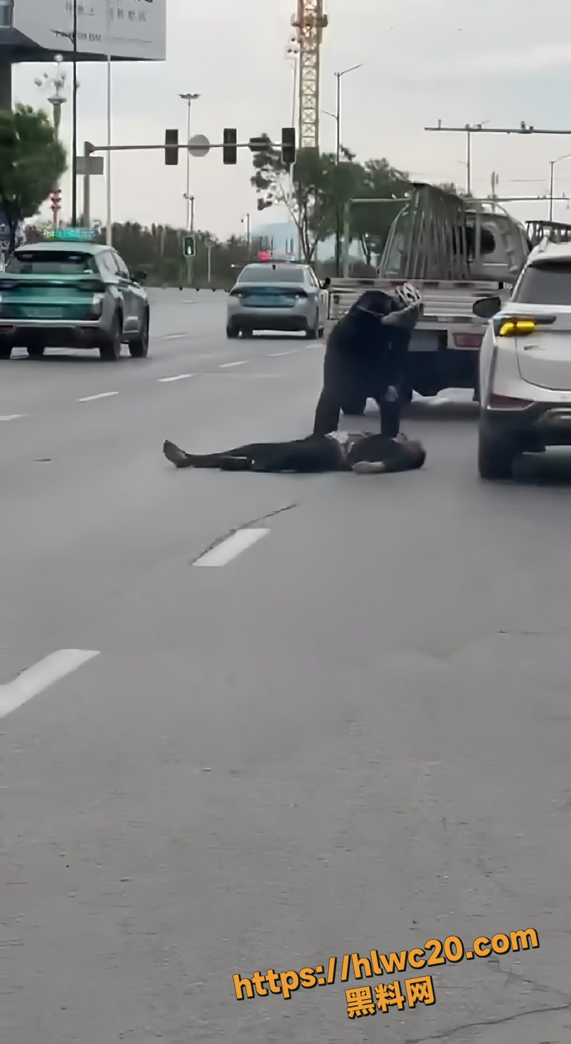 01辽宁wm