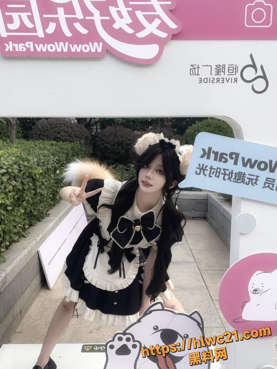 虎皮折耳猫口交实拍1