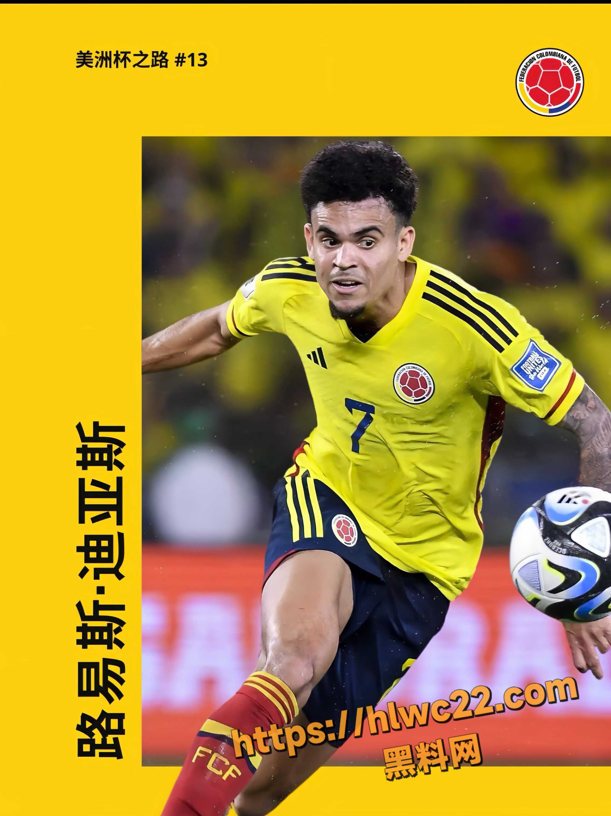 2026美加墨世界杯3