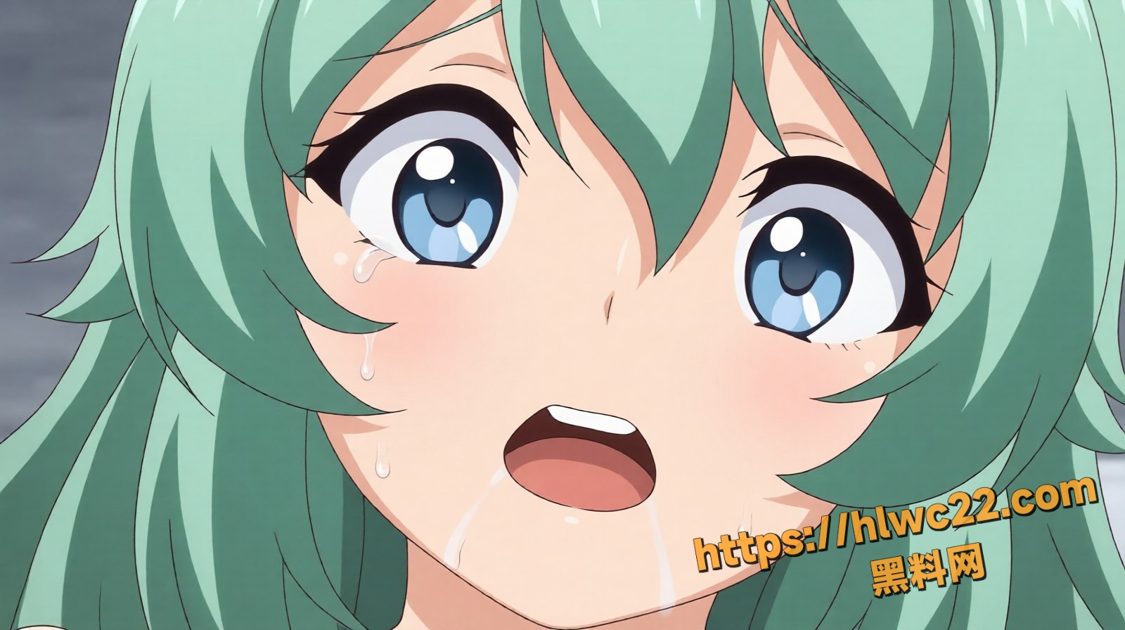 番剧 2