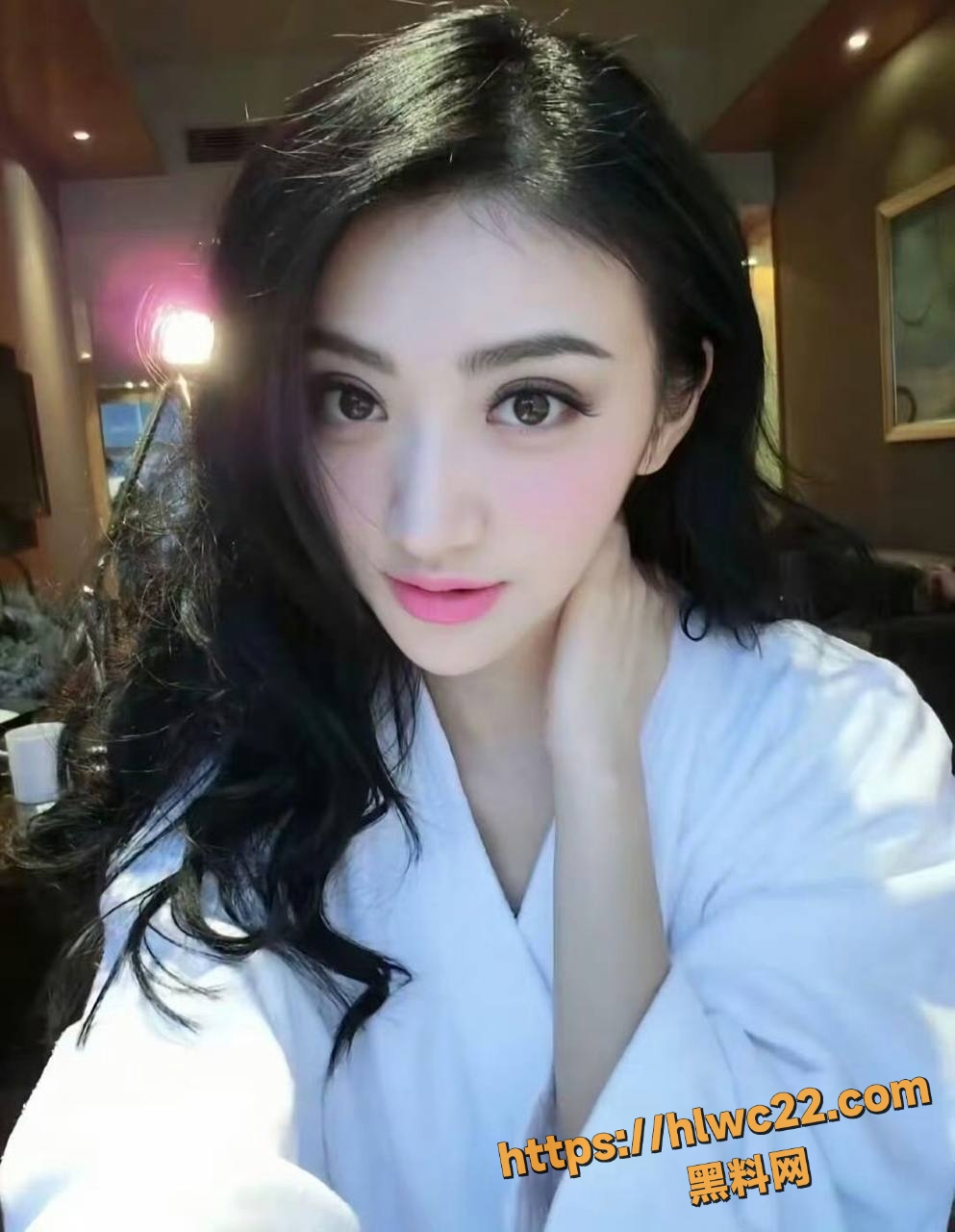 景甜代孕协议曝光1