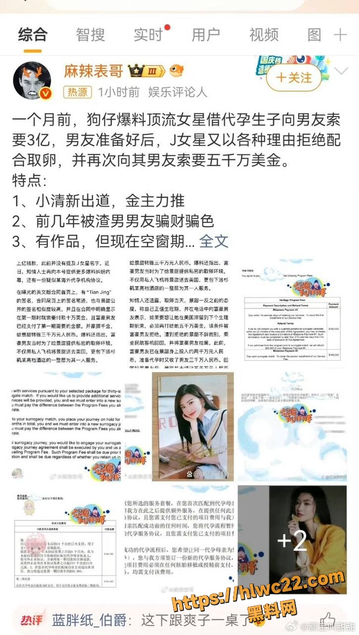 景甜代孕协议曝光9