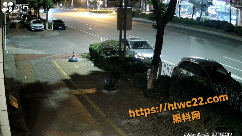 巨乳网红深夜飙车黑料8