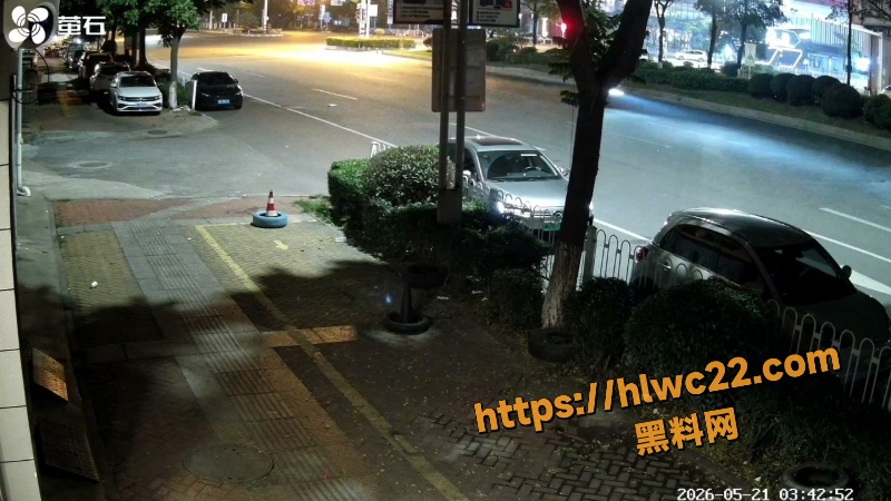 抖音玫瑰深夜飙车事件9