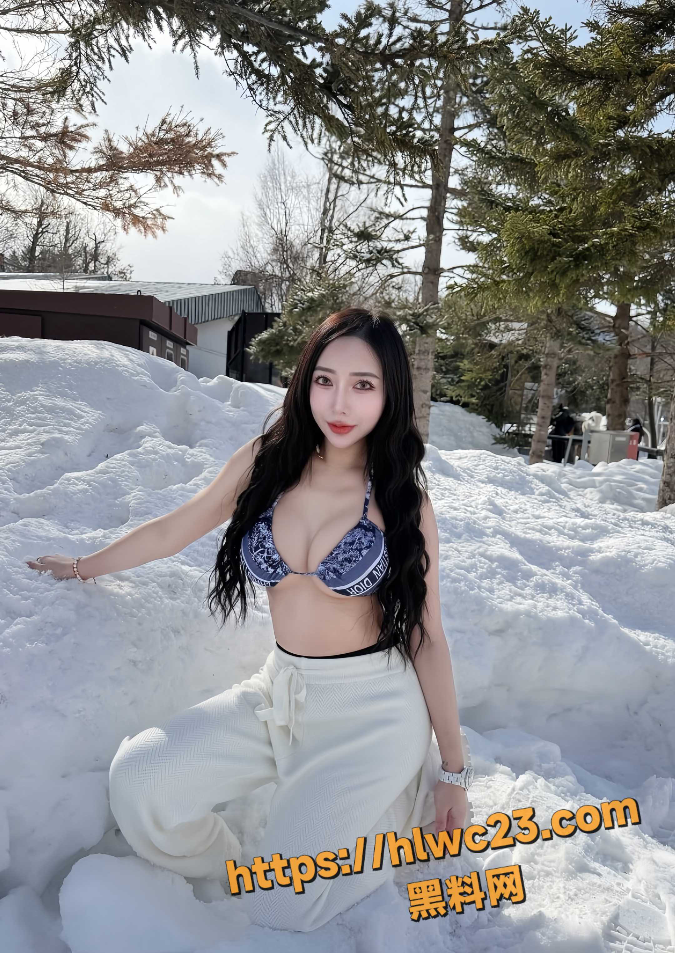 销售不雅视频10