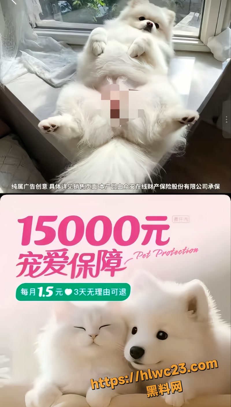 01众安宠物险广告wm
