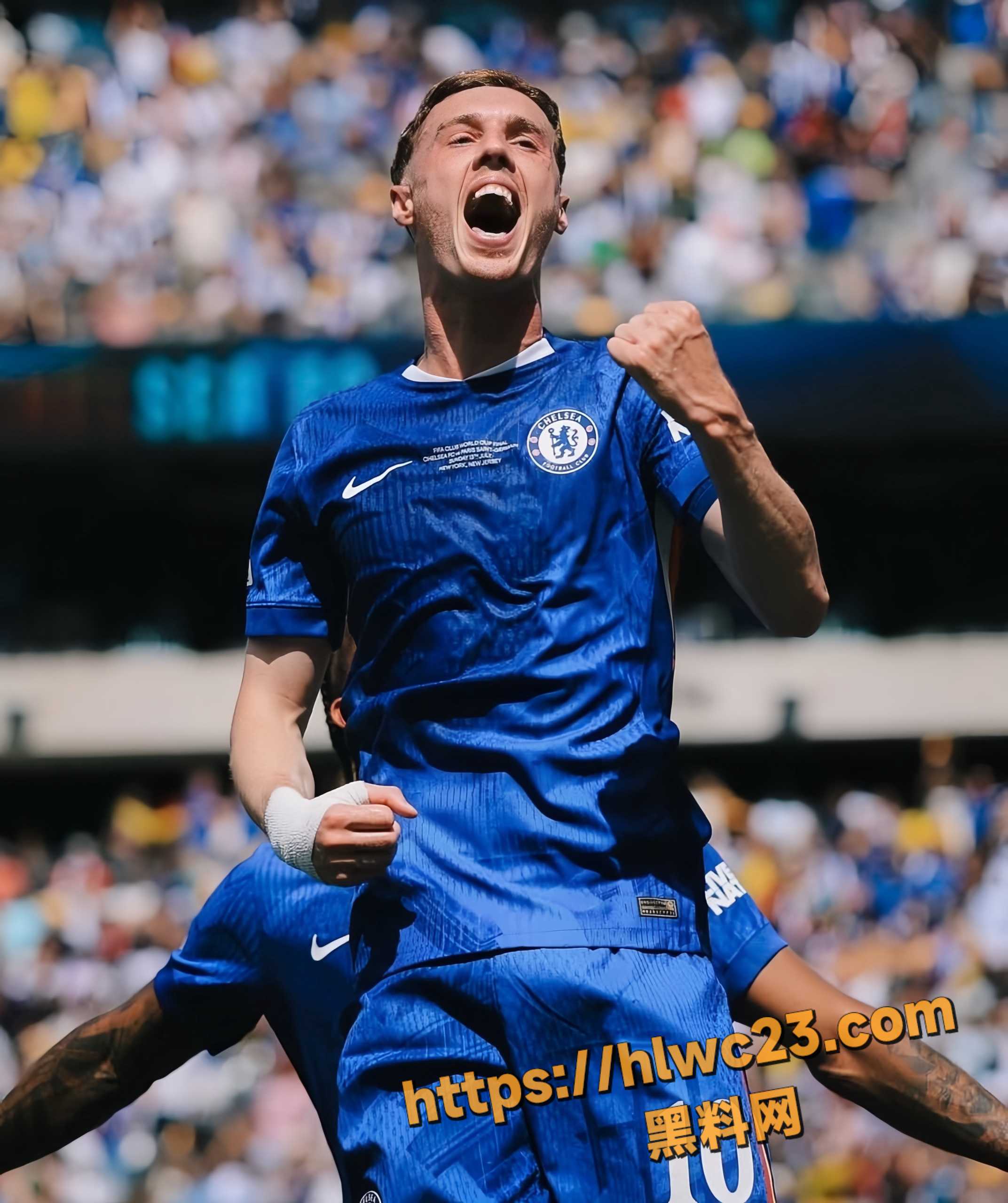 2026美加墨世界杯3