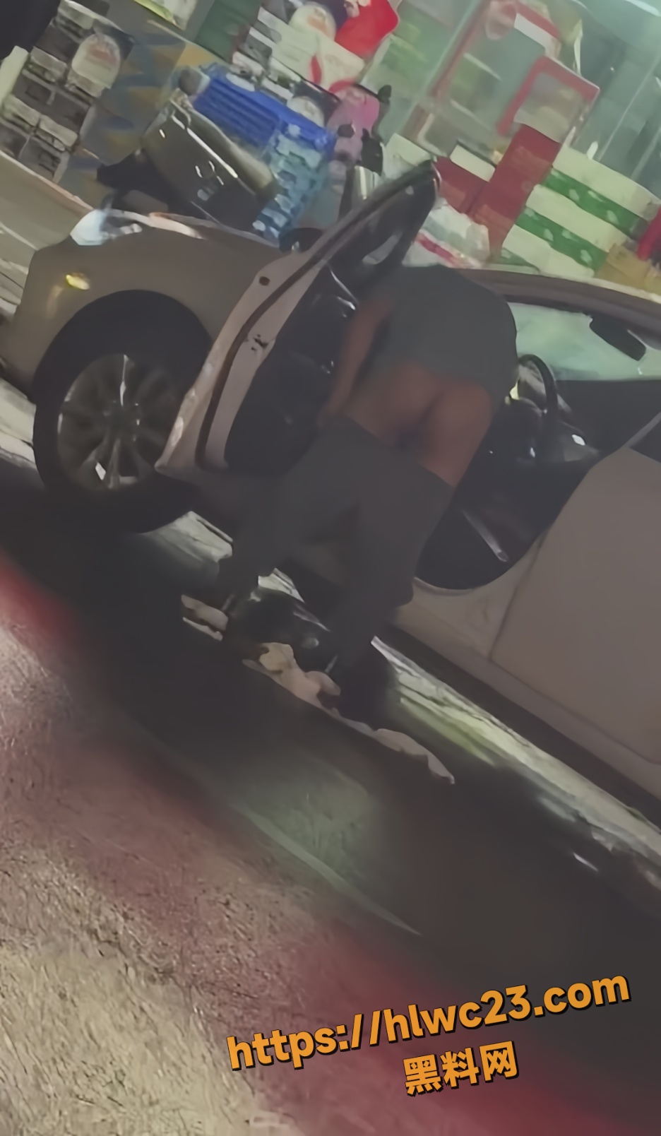 男子当街拉屎3