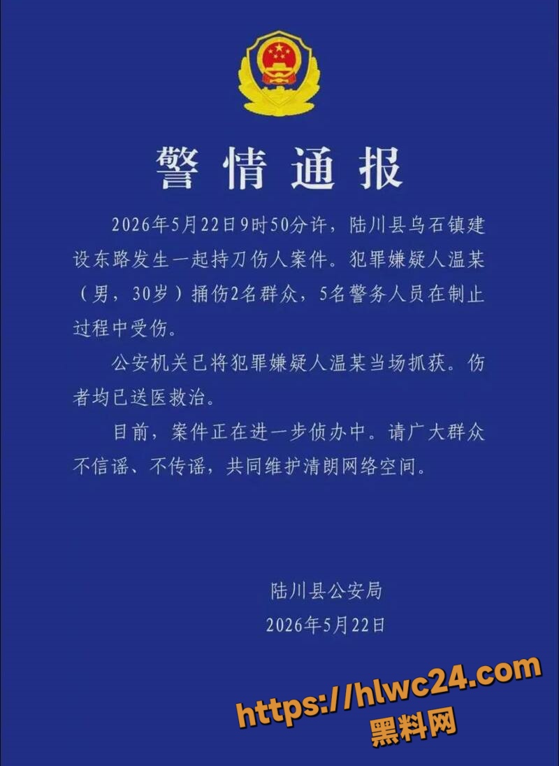 广西玉林男子持刀伤人1