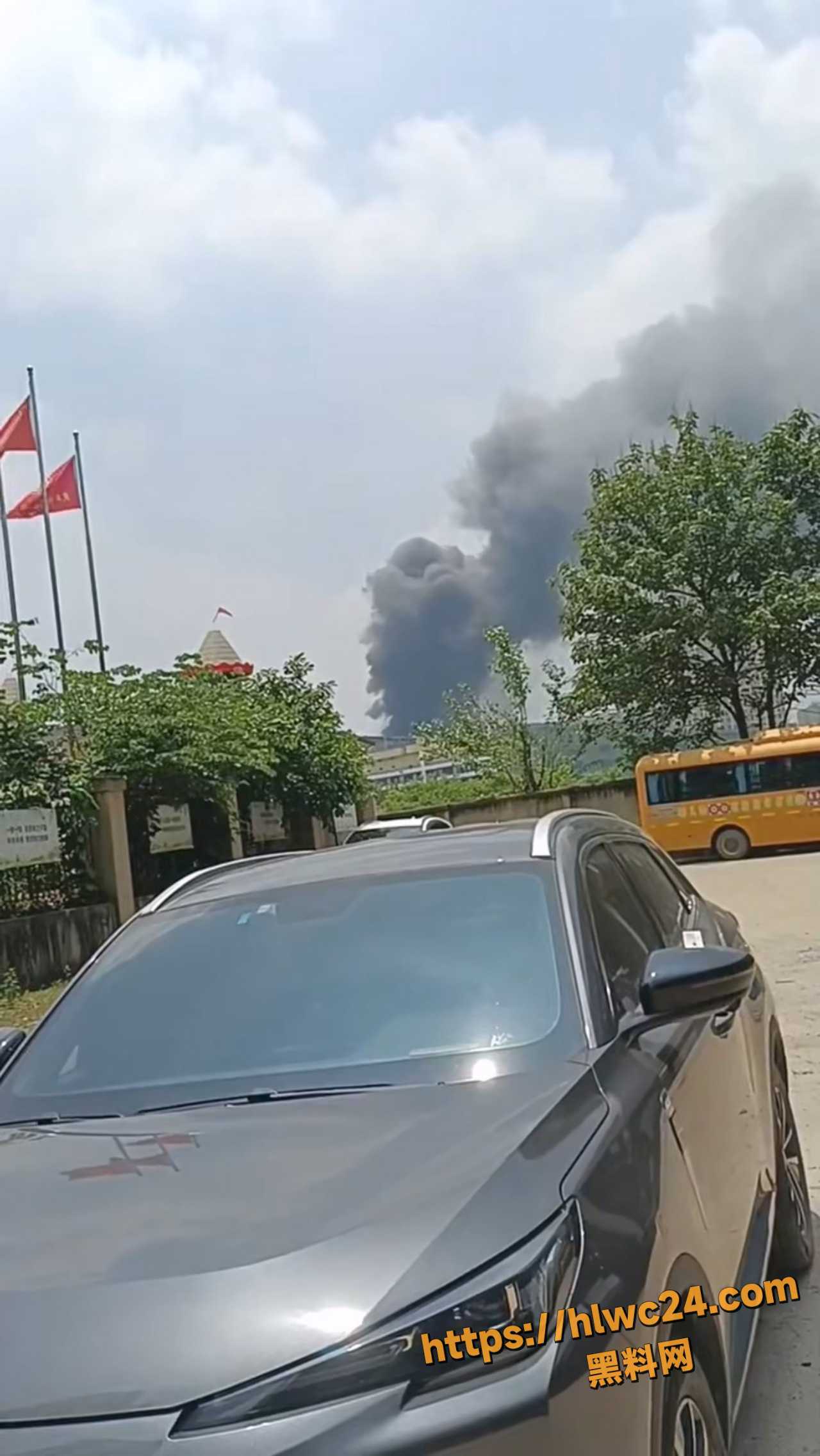 黄石火情消防处置报告