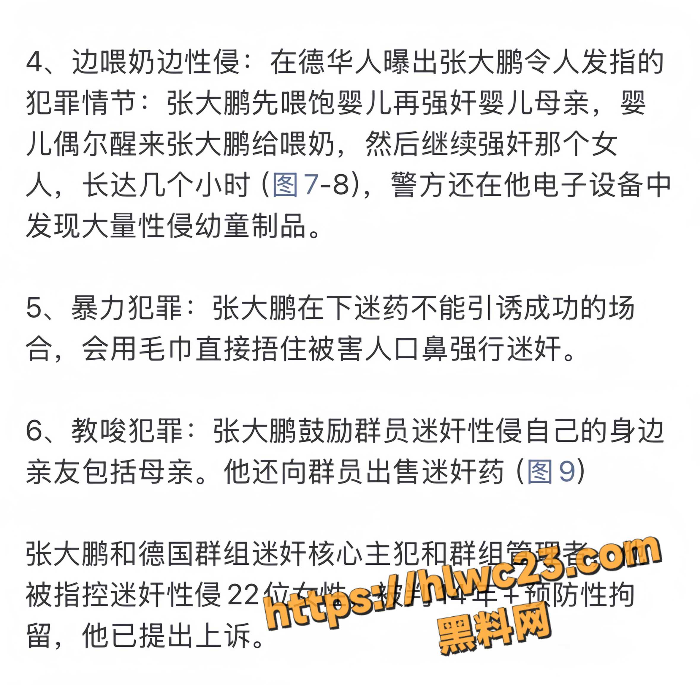 德国迷奸案主犯张大鹏6