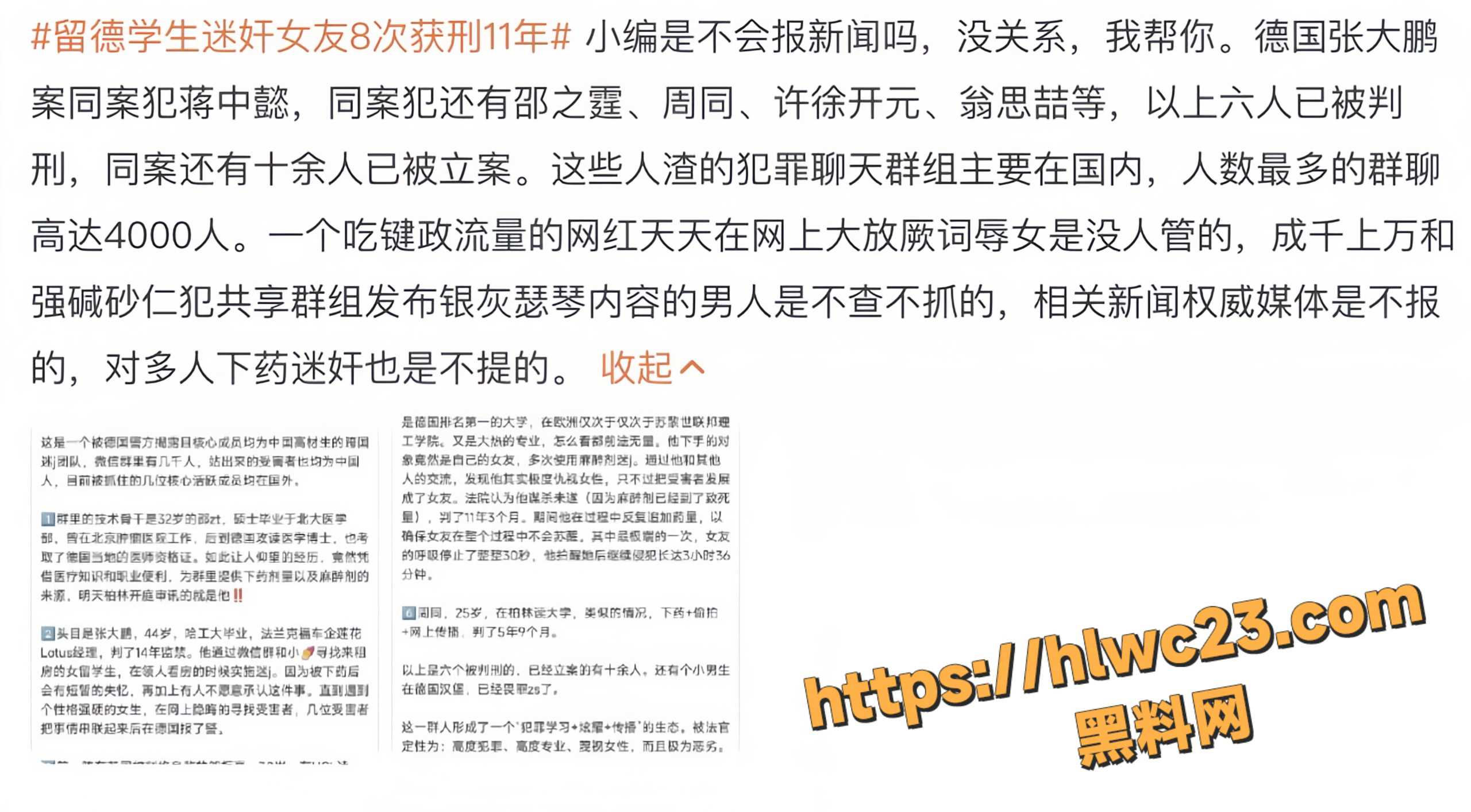 德国迷奸案主犯张大鹏8