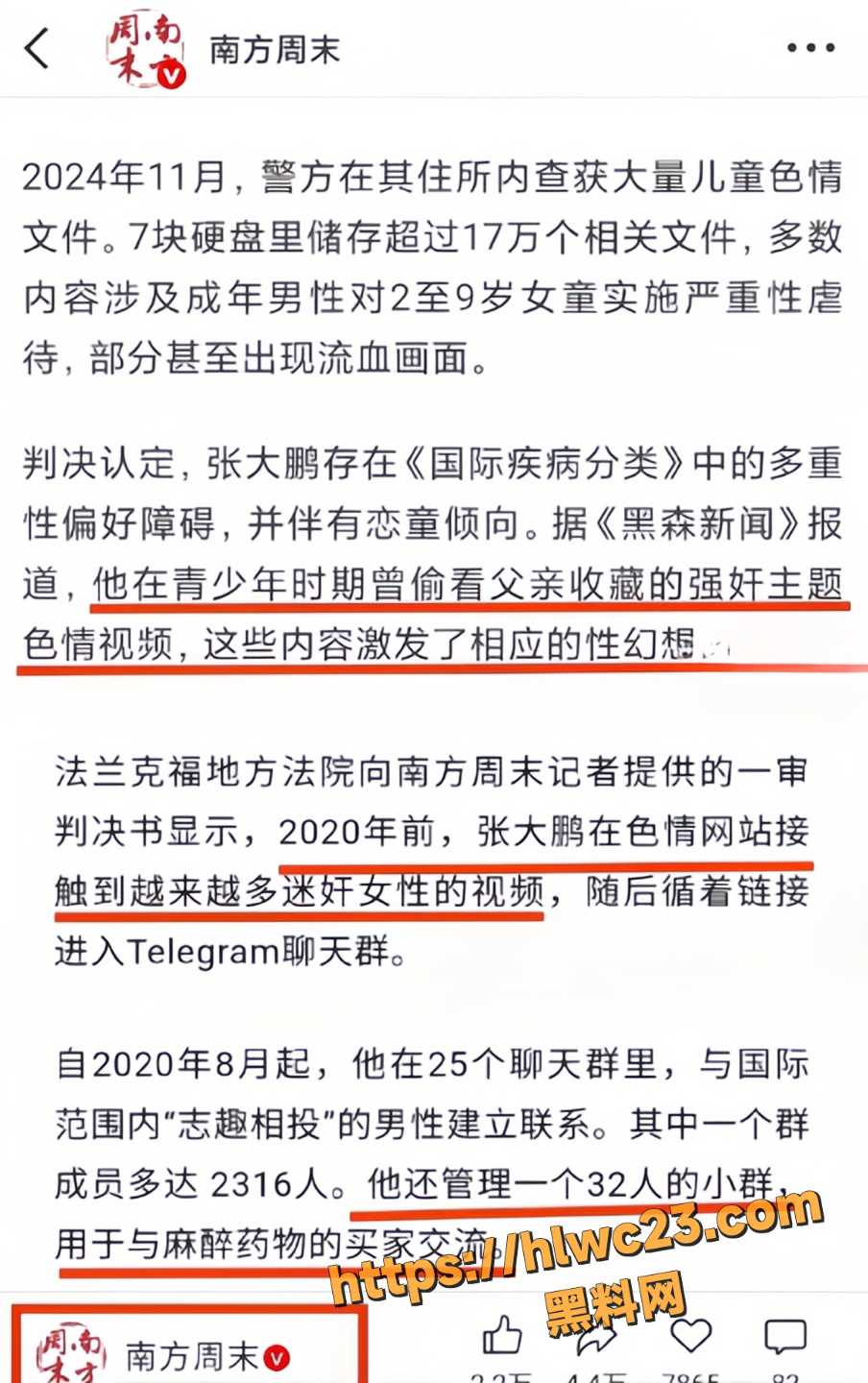 德国迷奸案主犯张大鹏9