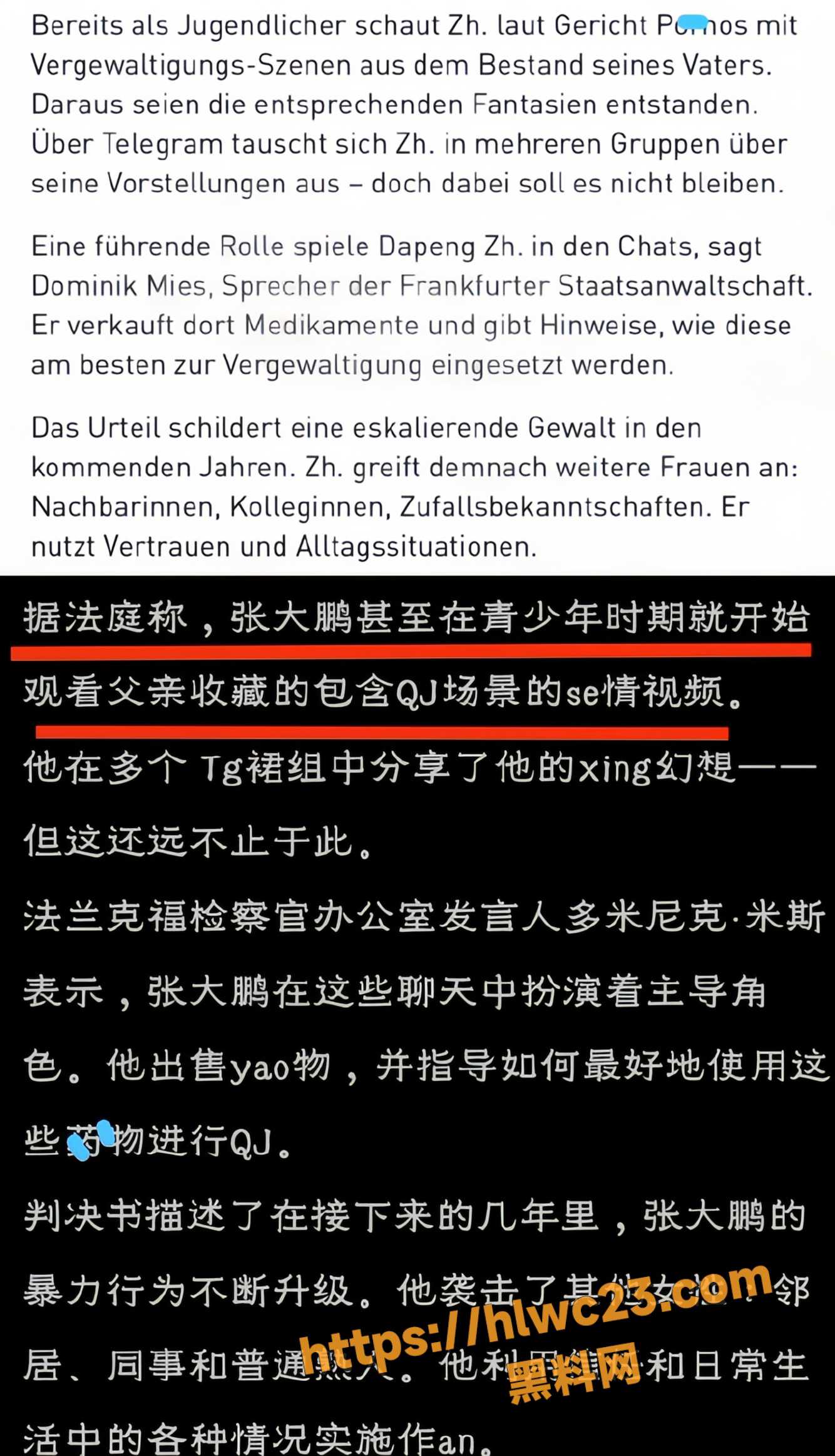 德国迷奸案主犯张大鹏10