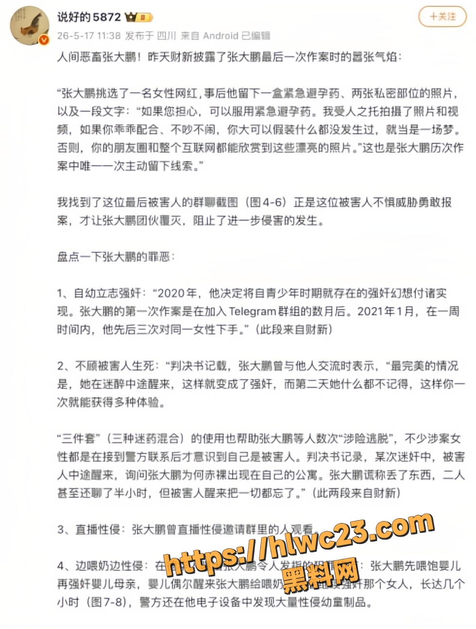 张大鹏被依法判刑13