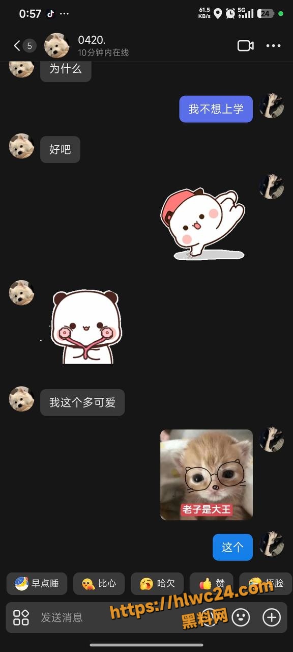 胡玉婷 3