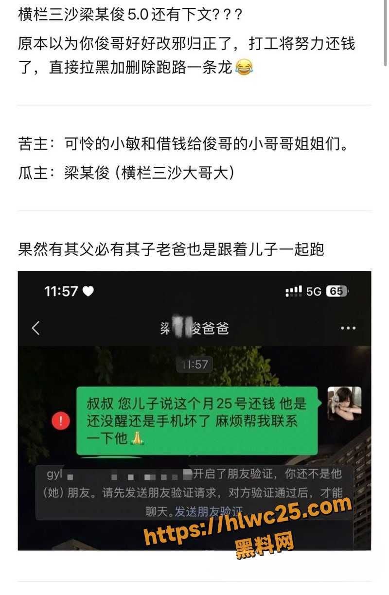 梁某俊借钱不还事件2