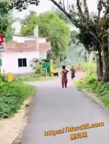 印度追妻砍杀事件 2