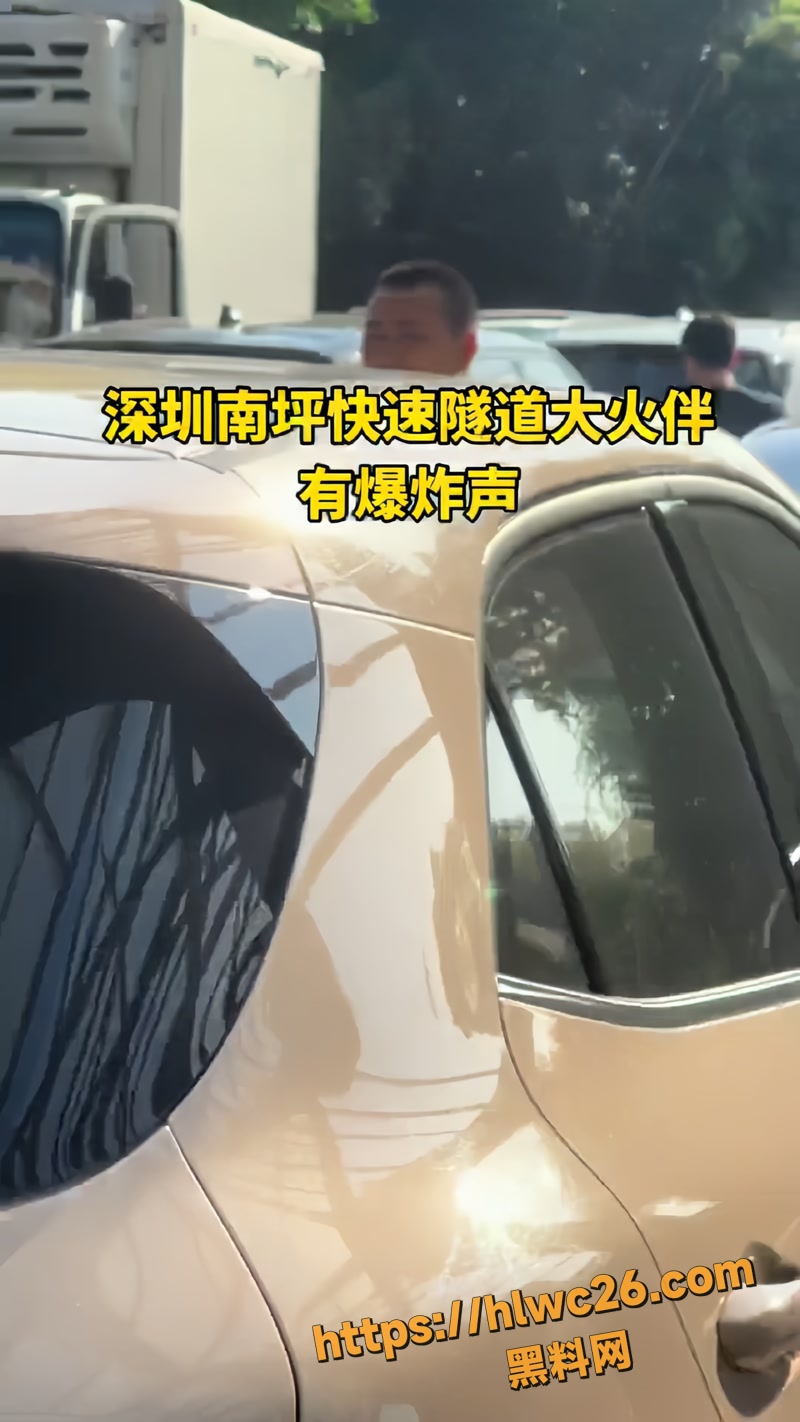 01社会新闻wm