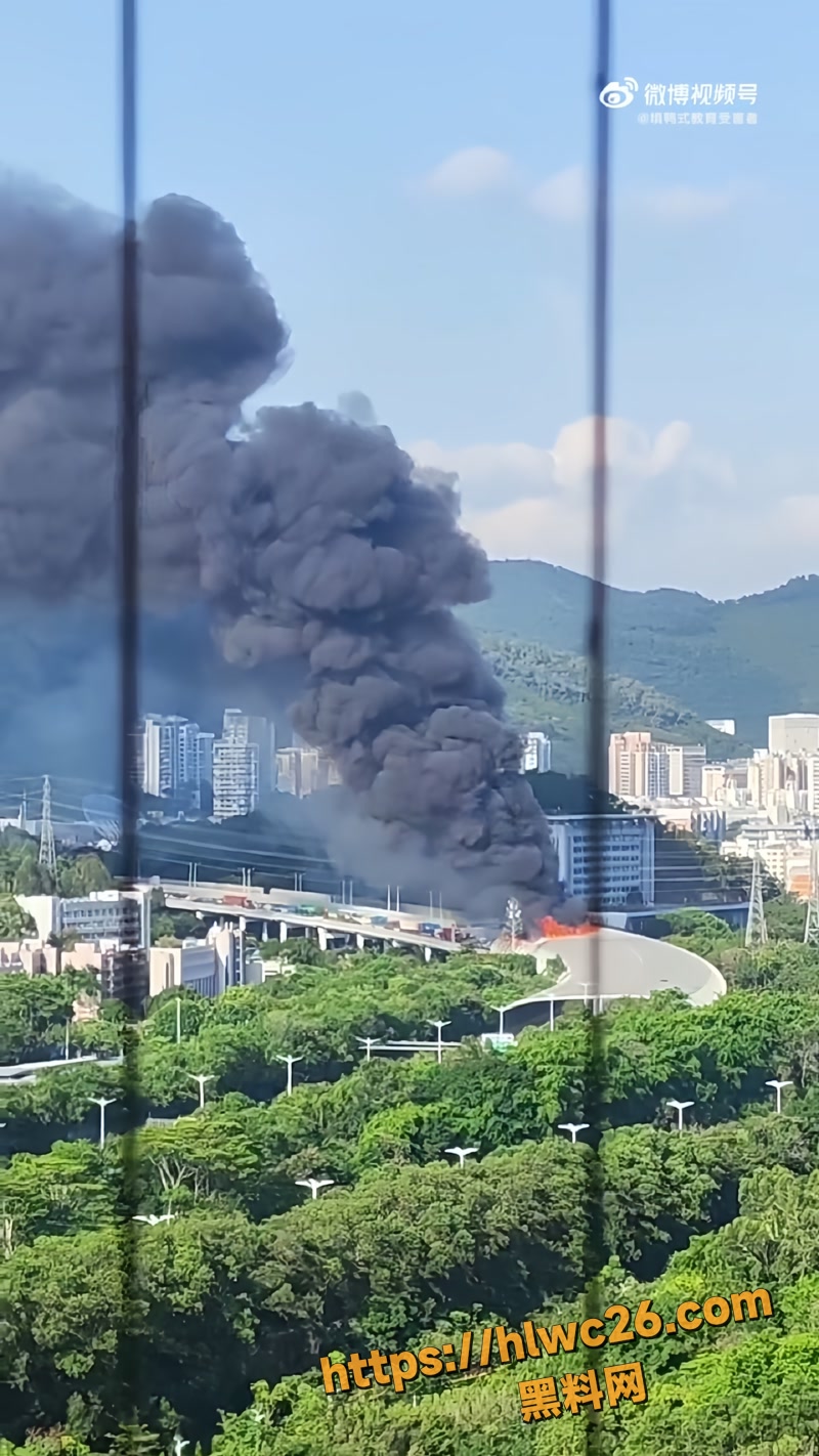 03深圳南坪高速火灾wm