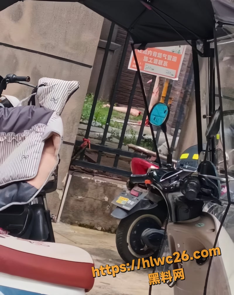 02长沙洋湖分尸案wm