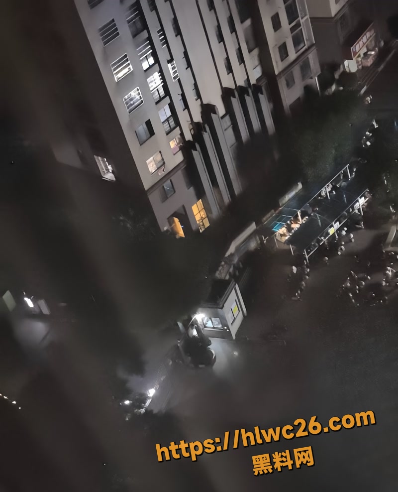 06长沙洋湖分尸案wm