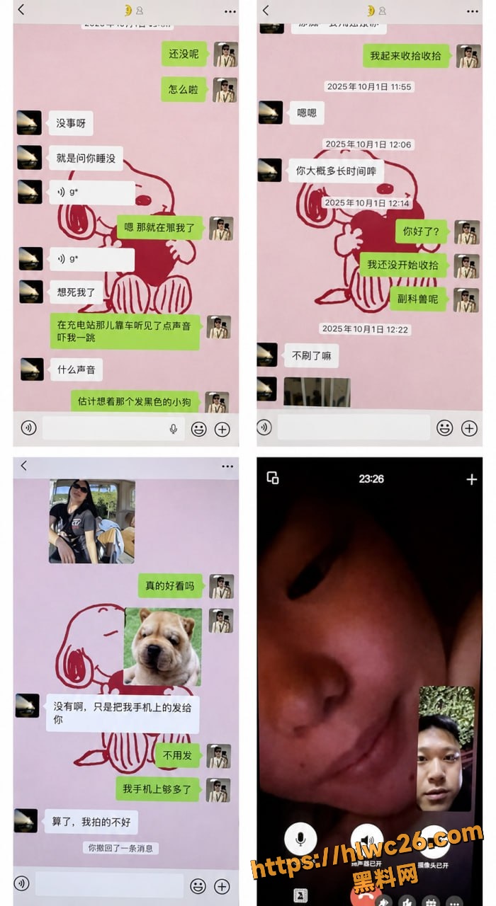 刘亚格不雅视频29