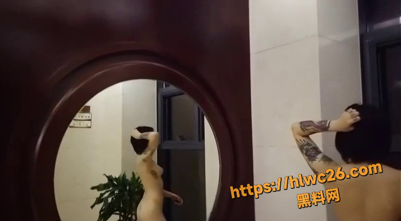极品骚妻玛雅7