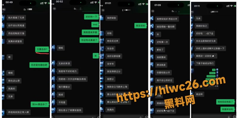 10脚踏多船wm